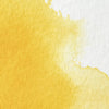 professional-watercolour-cadmium-yellow-pale