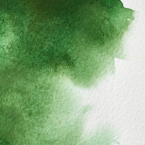 Professional Watercolour - Hooker's Green