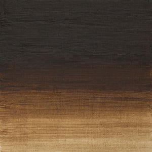 Artists' Oil Colour - Raw Umber