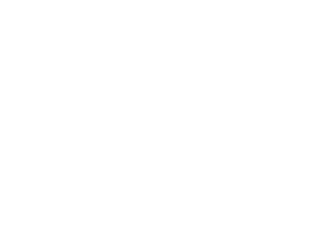 Winsor Newton through the eyes of the artist logo